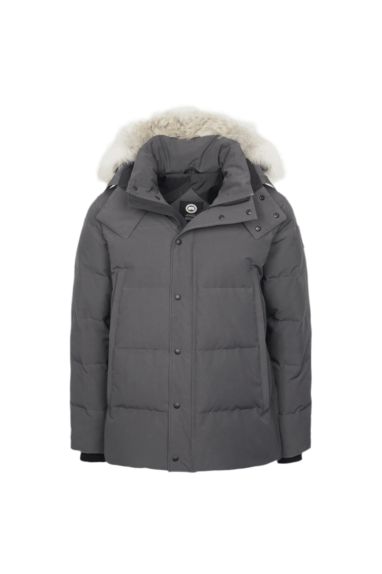 Grey c goose - VDRXPLG🔌