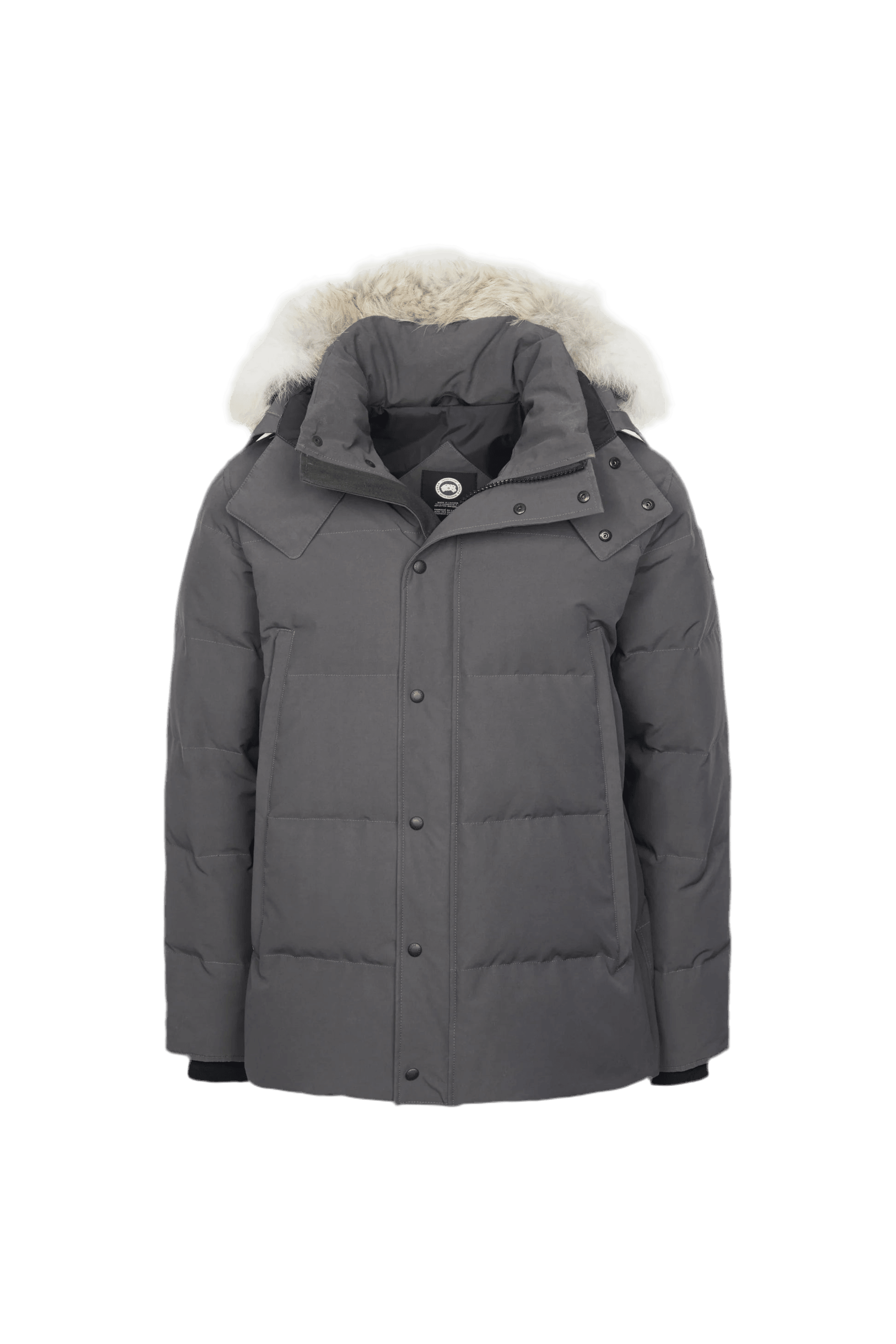 Grey c goose - VDRXPLG🔌